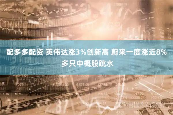配多多配资 英伟达涨3%创新高 蔚来一度涨近8% 多只中概股跳水