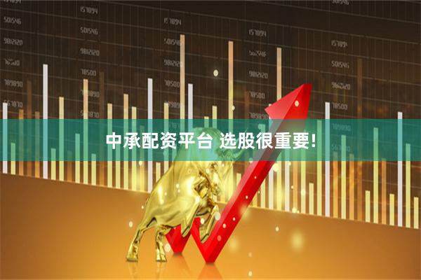 中承配资平台 选股很重要!